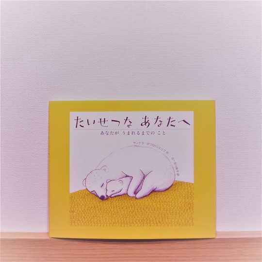 たいせつな あなたへ あなたが うまれるまでの こと (講談社の